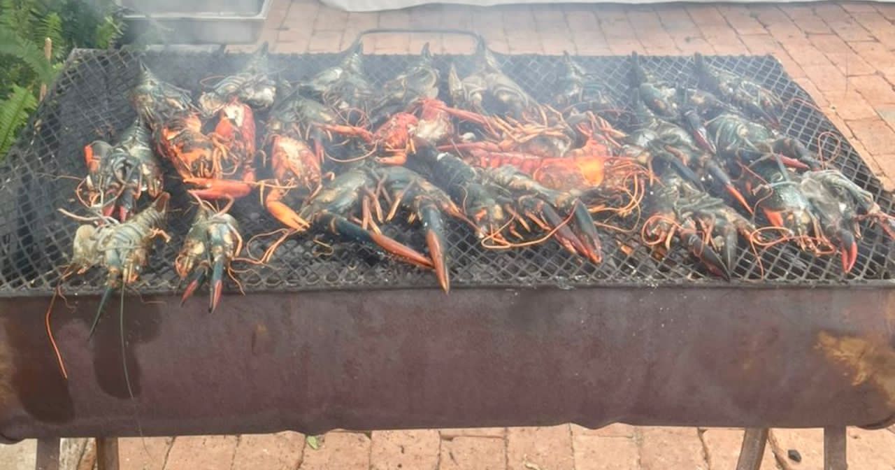 The BBQing, Grillin, Smoking Mega Thread-22c6ffaf-ed75-4fd6-9a50-25d1a971cd94-jpeg