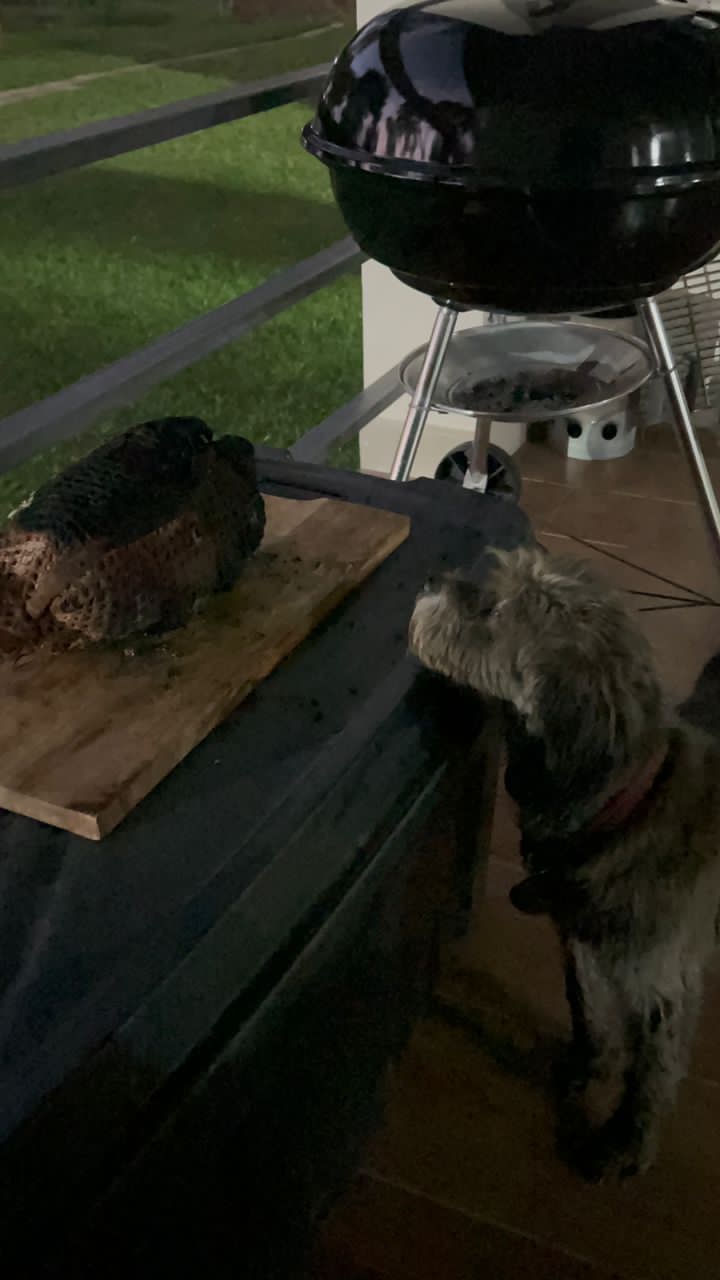 The BBQing, Grillin, Smoking Mega Thread-8e6b5fa4-b730-4826-ac93-10e50986f724-jpeg