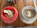 Dinner-img_2290-jpeg