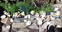 Dinner-20190621_173242-1-jpg
