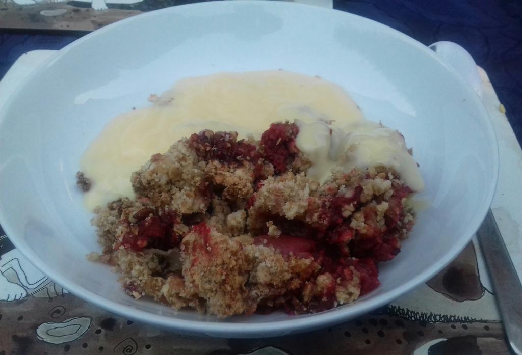 Chitty's homemade  Strawberry and Apple Crumble with custard.-20190826_192218-1-jpg
