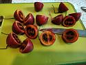 Dinner-whatsapp-image-2019-09-15-19-a