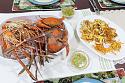 Dinner-img_5267-jpg