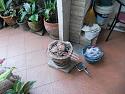 Dinner-braai-dscn1097-jpg