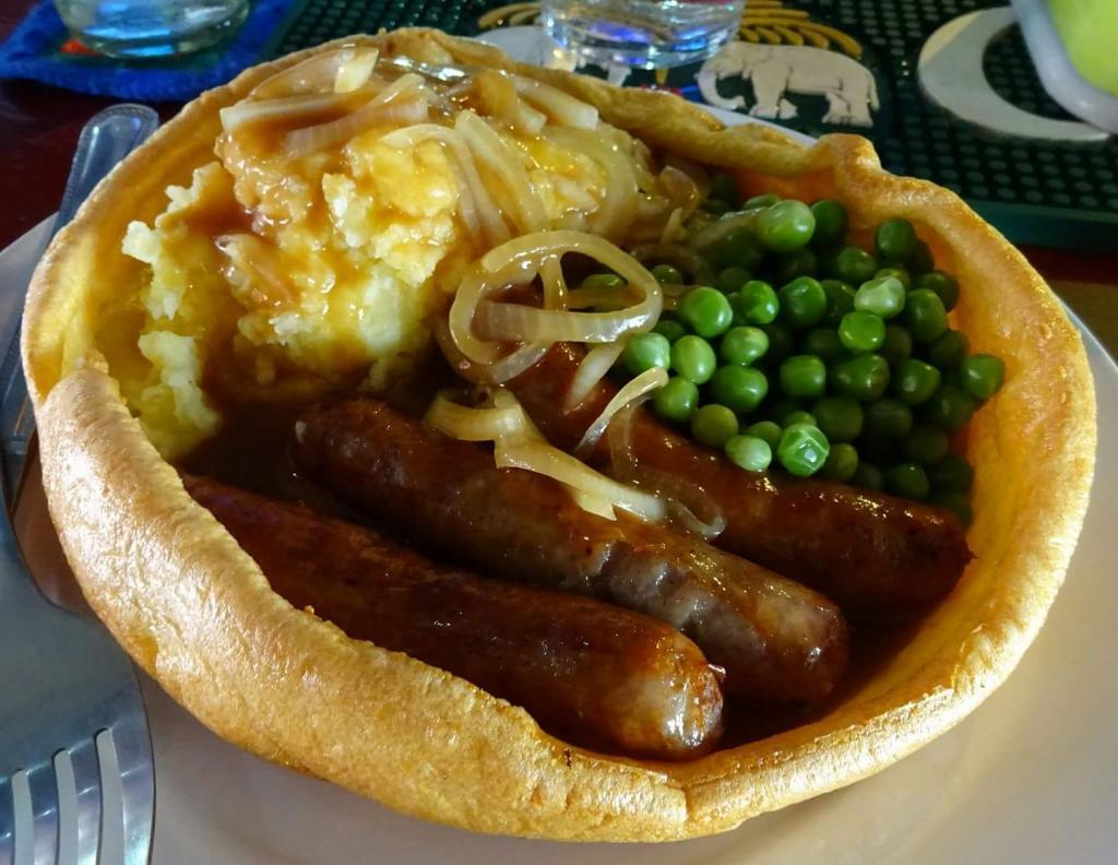 Dinner-yorkie-jpg