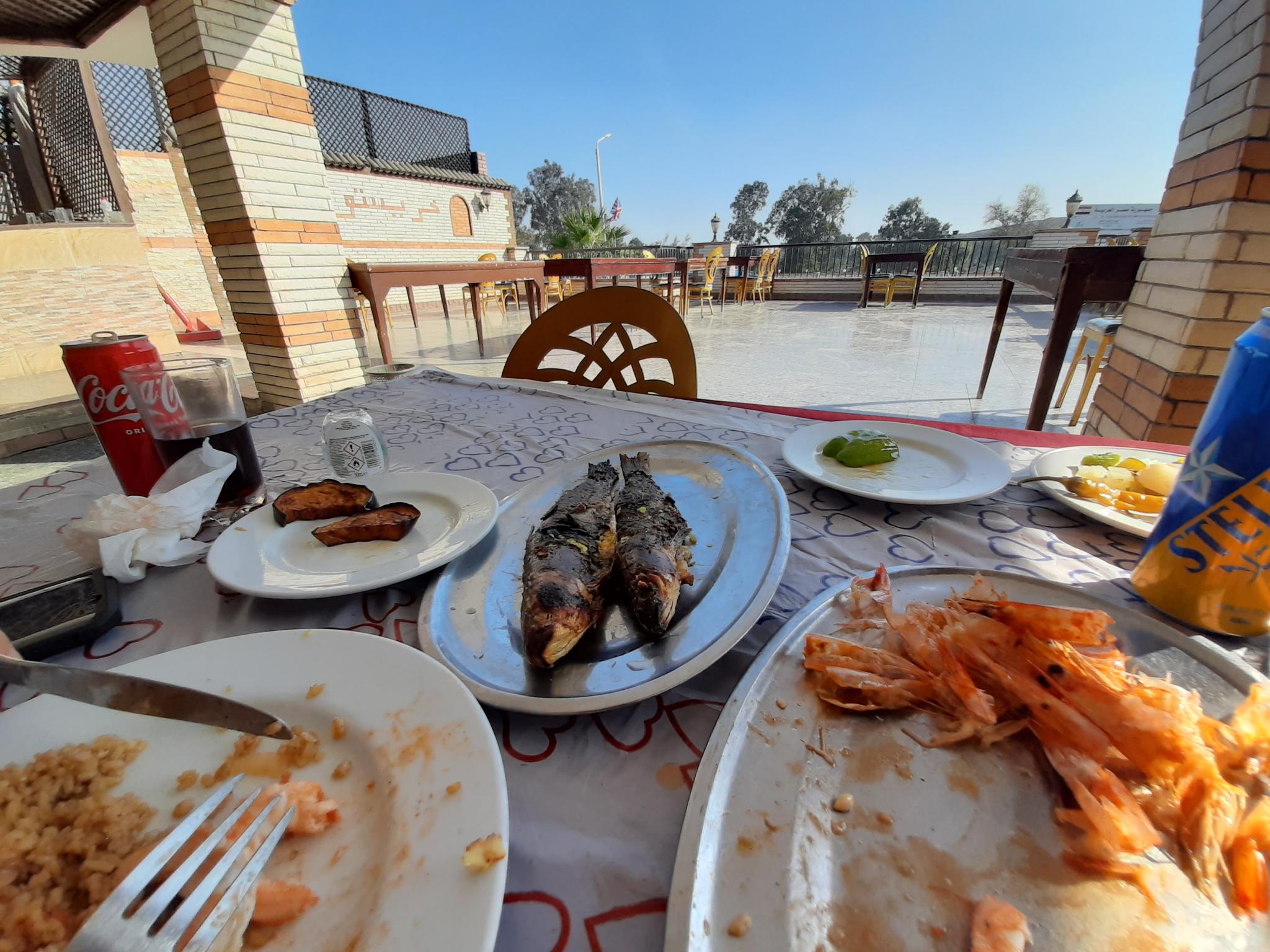 Lunch ... the second course-up-2-jpg