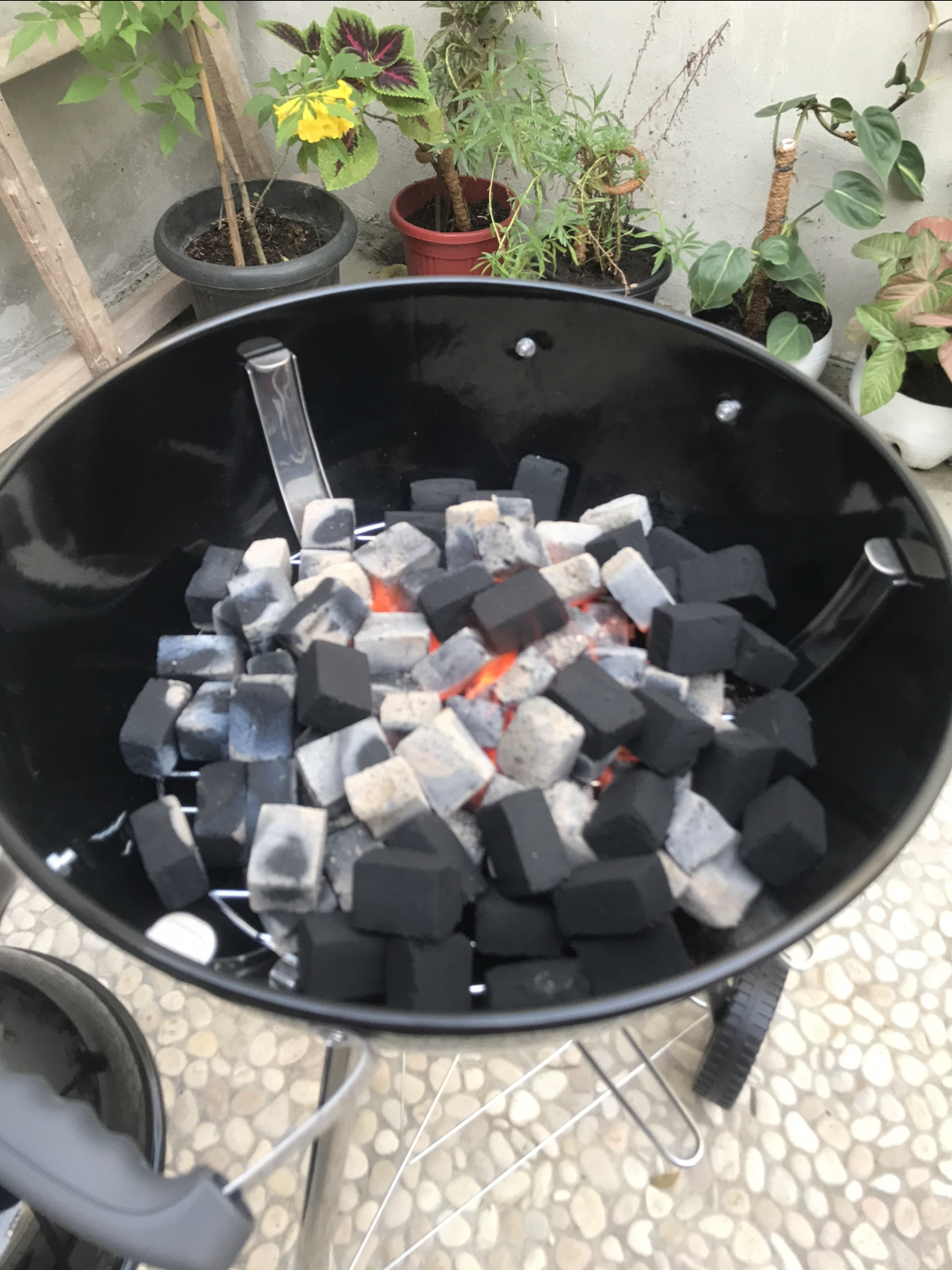 The BBQing, Grillin, Smoking Mega Thread-8bc790cc-3118-48d1-bf8d-cfed445f3135-jpeg
