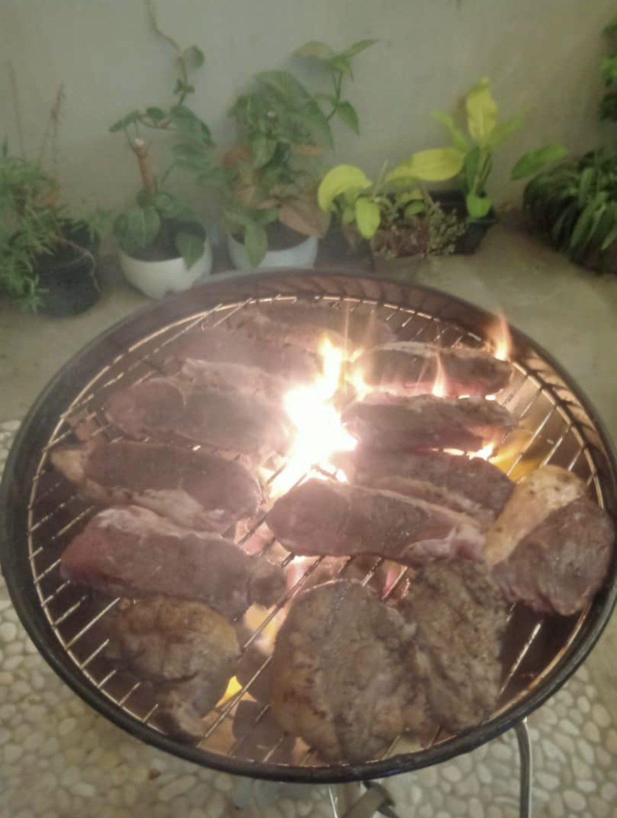 The BBQing, Grillin, Smoking Mega Thread-15a77510-efb1-4844-b2e0-ad658de07248-jpeg