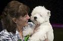 Top Bitches at Crufts 2018-yourstruly-jpg