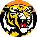 Today's Aussie Rules Footy thread-richmond-png