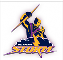 Rugby League 2019-nrl-storm-png