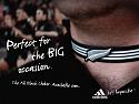 Rugby World Cup 2019-1284350-jpg