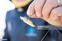 Cricket scores around the world-gettyimages-1154871917-612x612-jpg