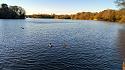 Post a photo a week, of anything/anywhere-20230419_193232-jpg