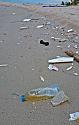 Post a photo a week, of anything/anywhere-beach-life-jpg