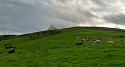 Post a photo you took yourself-20231004_165809-jpg