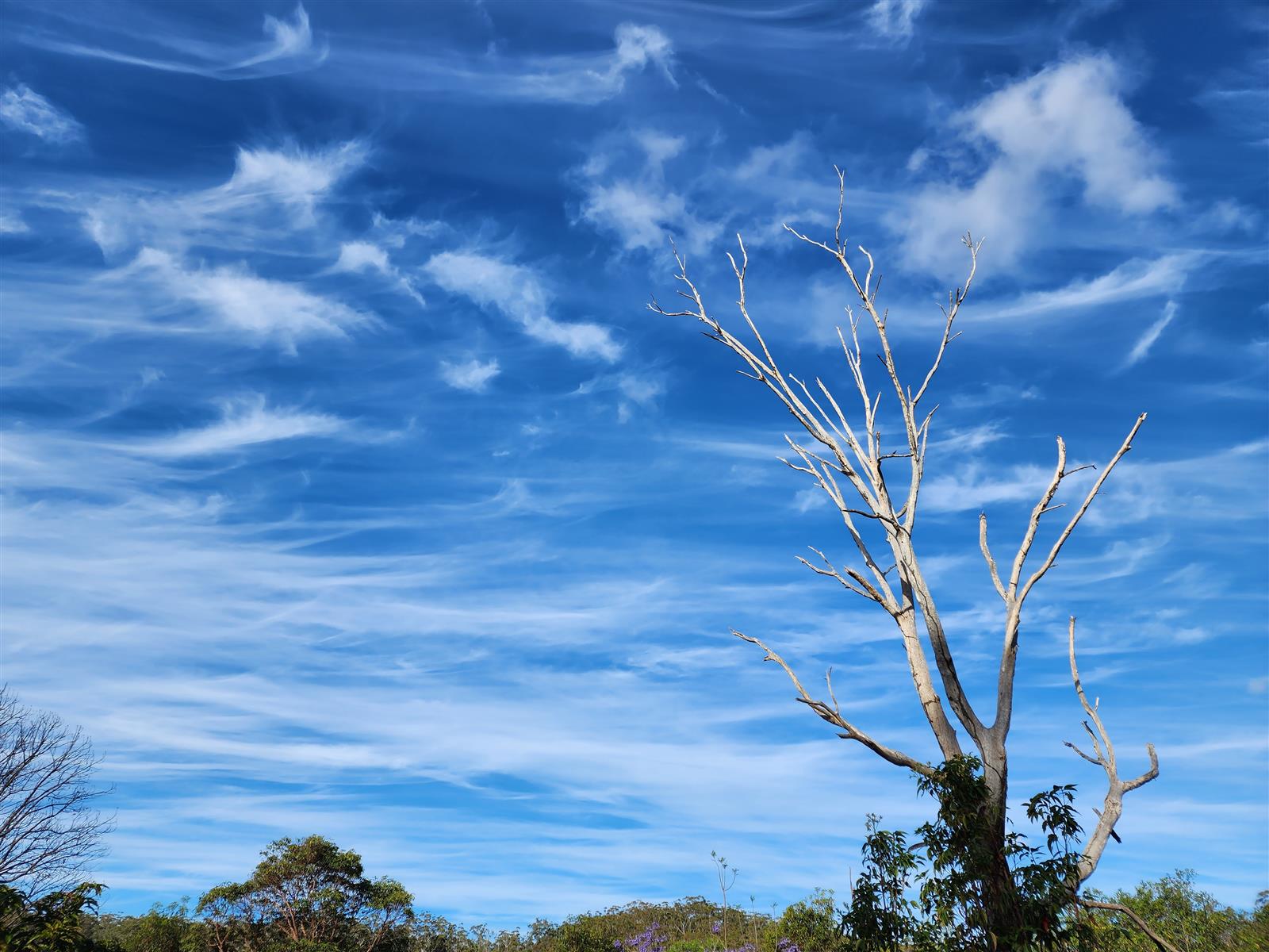 I wandered lonely as a cloud-20231009_180049-jpg