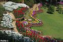 Post a photo a week, of anything/anywhere-garden-2-jpg