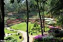 Post a photo a week, of anything/anywhere-garden-jpg