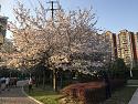 Post a photo a week, of anything/anywhere-8faa8561-986e-477e-abf6-6bbf92434dc4-jpg