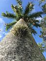 Post a photo a week, of anything/anywhere-img_5586_zpsbwo5aig8-jpg