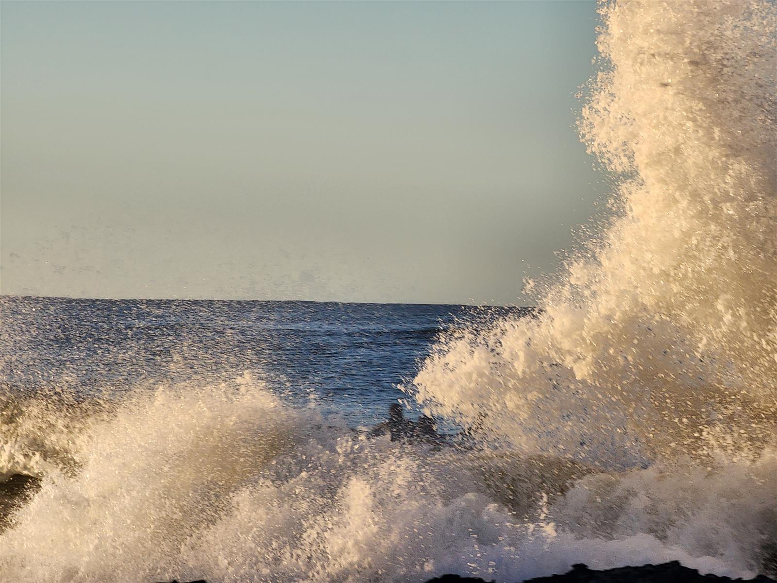 Post a photo you took yourself-20240613_182630-jpg
