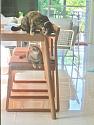Post a photo you took yourself-253503-jpg