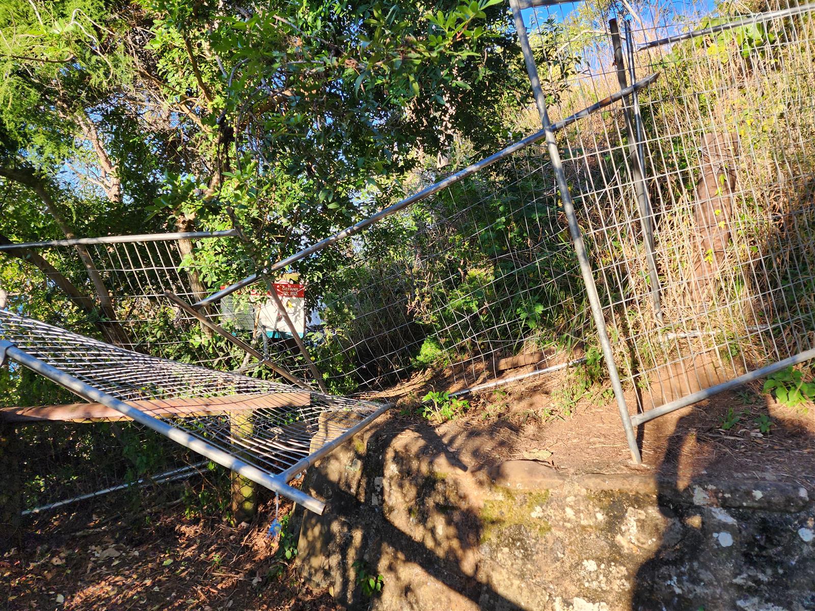 Where did you go today?-20240802_181155-jpg