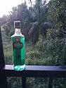 What are you drinking today?-045c4e1a-ac18-490e-b037-9af39bba0125-jpg