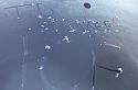 Post a photo you took yourself-20240928_080054-jpg