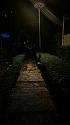 Post a photo you took yourself-img_20250211_200812-jpg