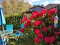 Post a photo a week, of anything/anywhere-20180429_141328-jpg