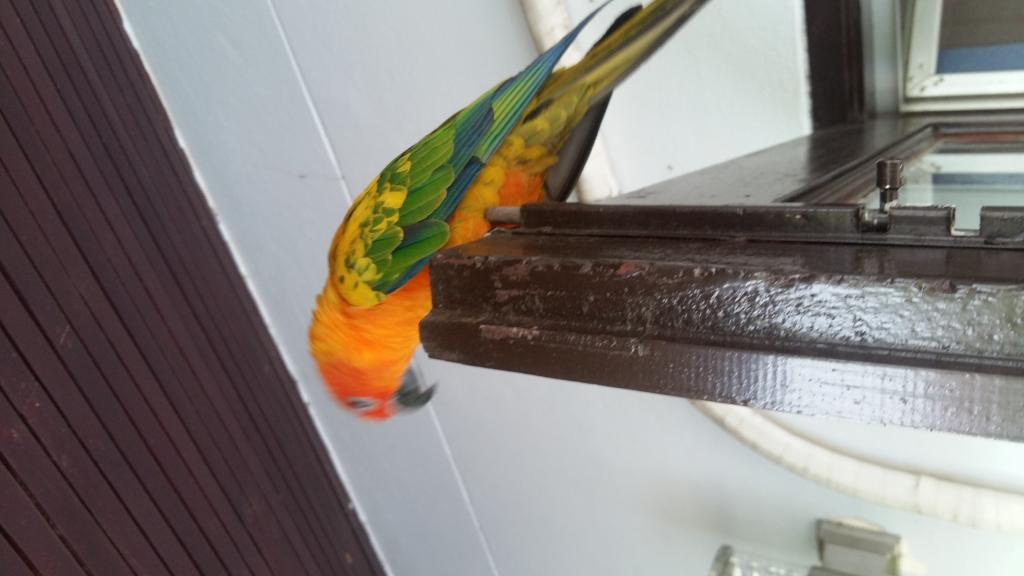 Post a photo a week, of anything/anywhere-2018-04-25-07-19-17-a