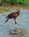 Post a photo a week, of anything/anywhere-be36be6a-b1b2-4ff3-ae01-73aa4599030f_zpsbbs9qbf2-jpg