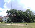 Post a photo a week, of anything/anywhere-antennas1-jpg