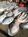 Post a photo a week, of anything/anywhere-octopus-market-jpg