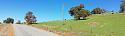 Post a photo a week, of anything/anywhere-tood-jpg