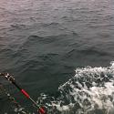 Post a photo a week, of anything/anywhere-photo_2_1-jpg