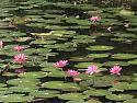 Post a photo a week, of anything/anywhere-62faaa9e-1061-4556-b1df-a7ac4c2ad368-jpg
