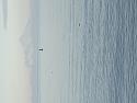 Post a photo a week, of anything/anywhere-ad2ef0e8-07e9-4841-a3cc-c45d2c5fd495-jpg