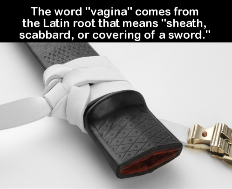 Did you know...?-vagina-root-png