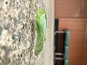Post a photo a week, of anything/anywhere-f6dd86f6-9d06-424a-b5c3-19c90c3d64a3-jpg