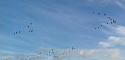 Post a photo a week, of anything/anywhere-20181009_090018-1-jpg