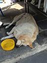 Post a photo a week, of anything/anywhere-thai-2015-621-jpg