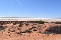 Post any pic anytime as many as u like-coober-2-jpg
