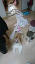 Post any pic anytime as many as u like-1556353807915-jpg