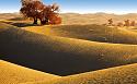 Post any pic anytime as many as u like-5cd11965a3104842e4ac4c8e-jpeg