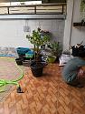 Post any pic anytime as many as u like-img_20190512_144413-jpg