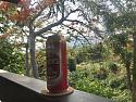 What are you drinking today?-59e841af-10aa-4a18-8677-106da40dea18-jpg