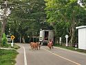 Post any pic anytime as many as u like-img_20190614_175913-jpg